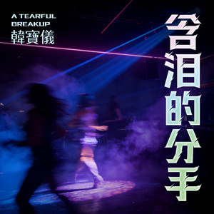 含泪的分手（DJ默涵版）