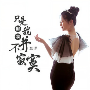 只是我假装并不寂寞