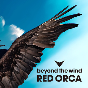 beyond the wind