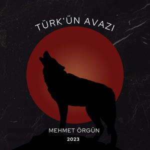 Turan'a Yürüdü Enver