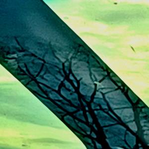 prescise1 for 4 miles