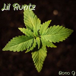 Lil Runtz