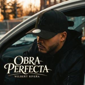 OBRA PERFECTA