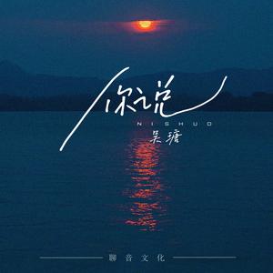 你说（抒情版）