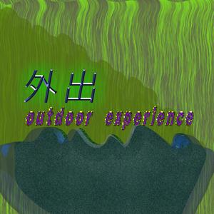 在滿是蕨類植物的山坡上發現的問題