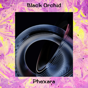 Black Orchid