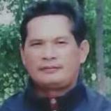 天山雪莲花 (320CBR)