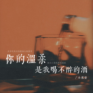 你的温柔是我喝不醉的酒