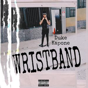 Wristband