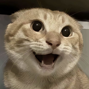 等睡醒了明天还喜欢你