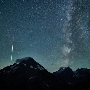 深情相伴共此生