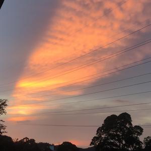 校园二三事（prod by 树T.Ree）