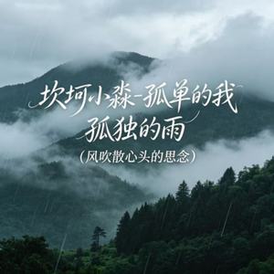 孤单的我 孤独的雨(风吹散心头的思念)
