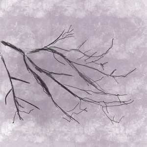Overwinter