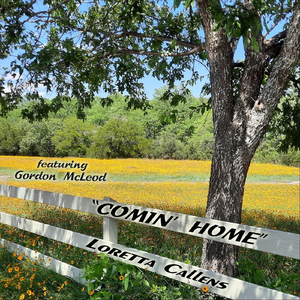 Heartache Ahead (Instrumental) [feat. Gordon McLeod]