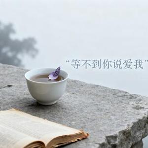 等不到你说爱我