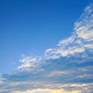 54abea4560534d1abcdde42a2d896ae81638535832166