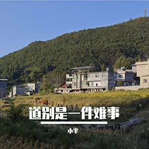 道别是一件难事（改编版）