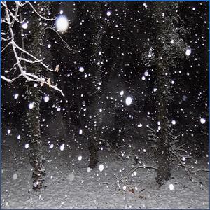 january sample 2022[1]