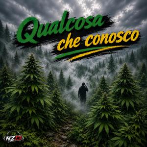 Qualcosa che conosco