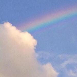 暗淡的是你曾温柔的小动作（翻自 Wanan）