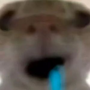 不再曼波（双声道）