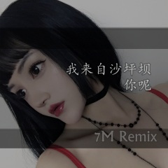 墨尔本弹跳 (Remix)