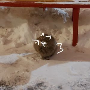 ноябрьским утром