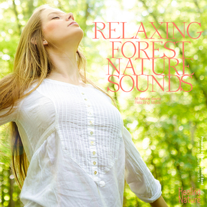 마음을 정화시켜주는 깊은 숲의 소리