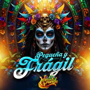 Pequeña y Frágil