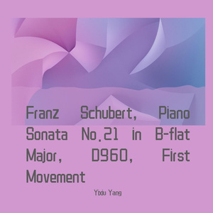 Piano Sonata No.21 in B-flat Major,D960,First Mov.