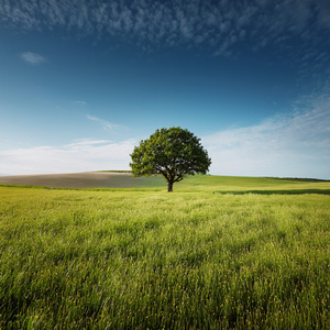 The Sky Lets Go Of The Light