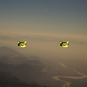 Singing My Heart Out (Le Prix Remix)