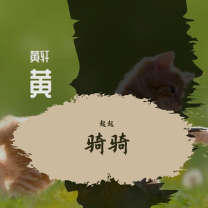 试试
