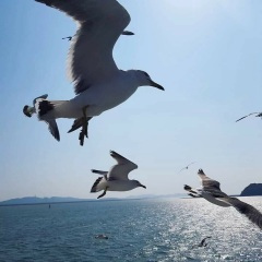 何时拥你入怀中 (DJ版)