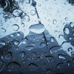 IN THE RAIN