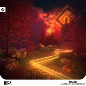 Am I Too Far Gone (Remix)