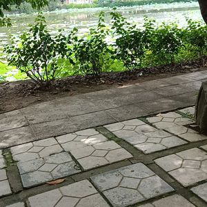 湖畔低语-姚美霞