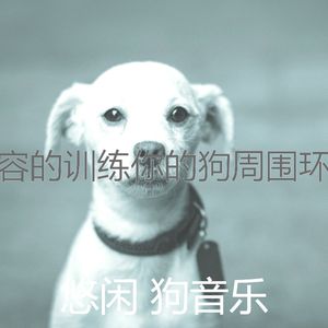 诗意的可爱的狗节奏