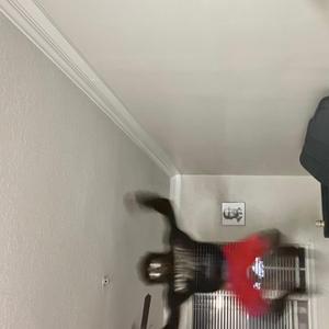 How bossman dlow rap