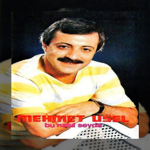 İçsem Bir Türlü, İçmesem Bir Türlü