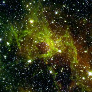 coffee this evening?