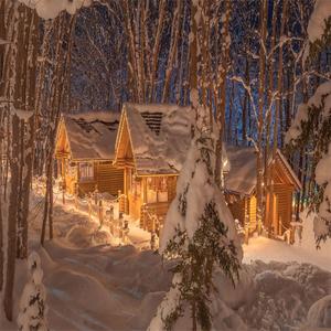 多想在平庸的生活拥抱你