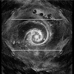 暖阳下郁金香的轻吟