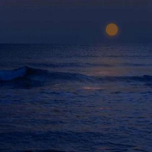 Tutu likes eating uor