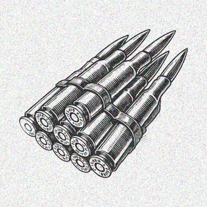 AMMUNITION
