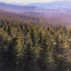 Walkman (feat. Conerain & Shusty Bones)