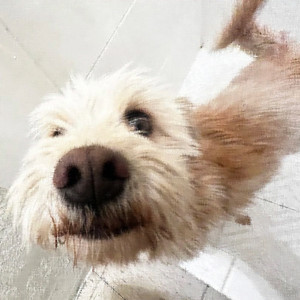 Sujeto de prueba 1 Prototipo Beige