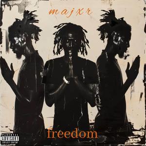 Freedom (feat. Naami!) (Radio Edit)