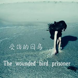 受傷的囚鳥